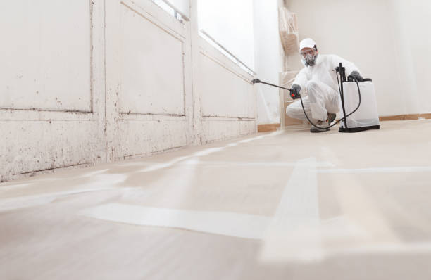 24/7 Emergency Mold Remediation experts in Seattle, WA
